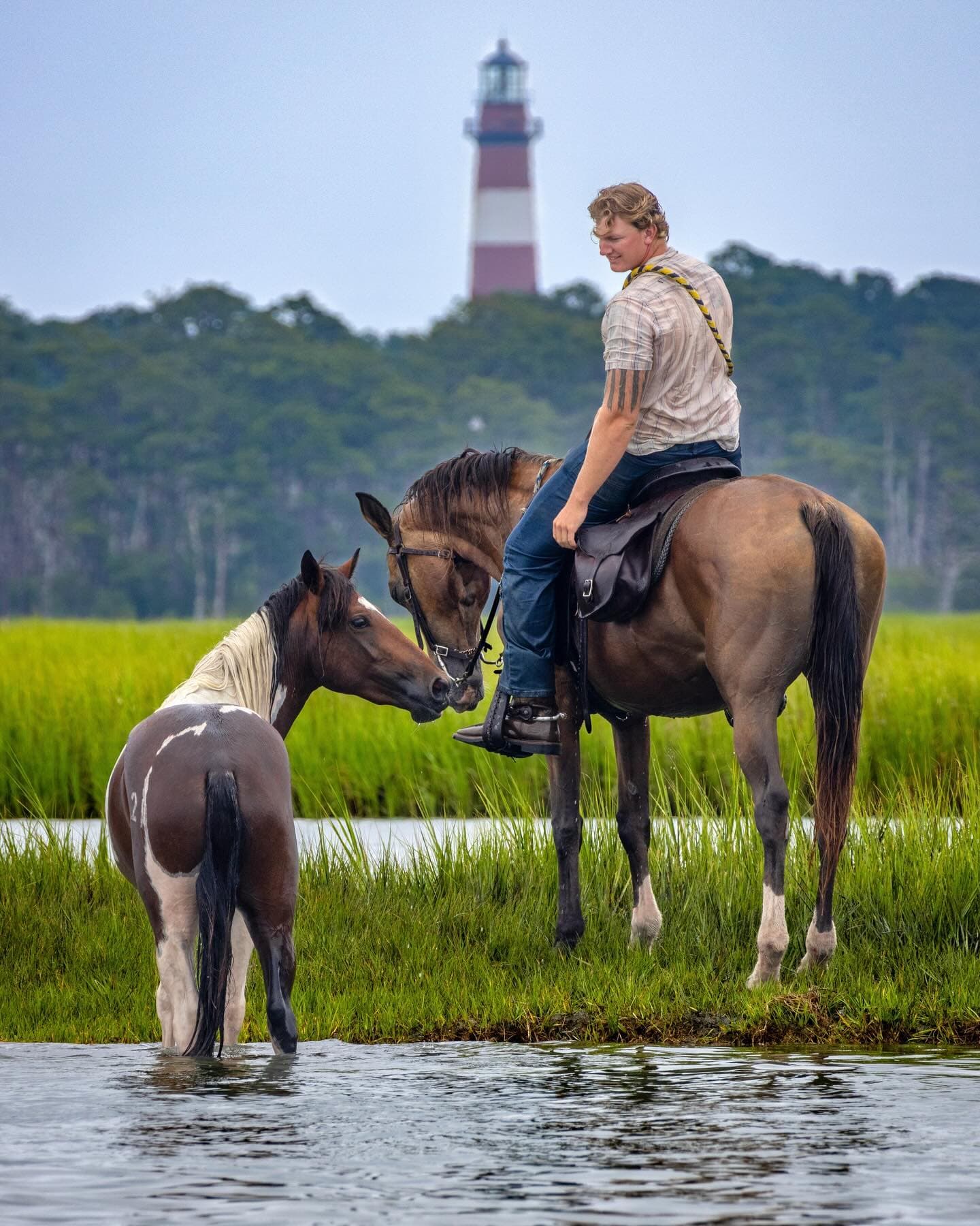 A person on a horse interacts with another horse near a body of water with a lighthouse in the background.