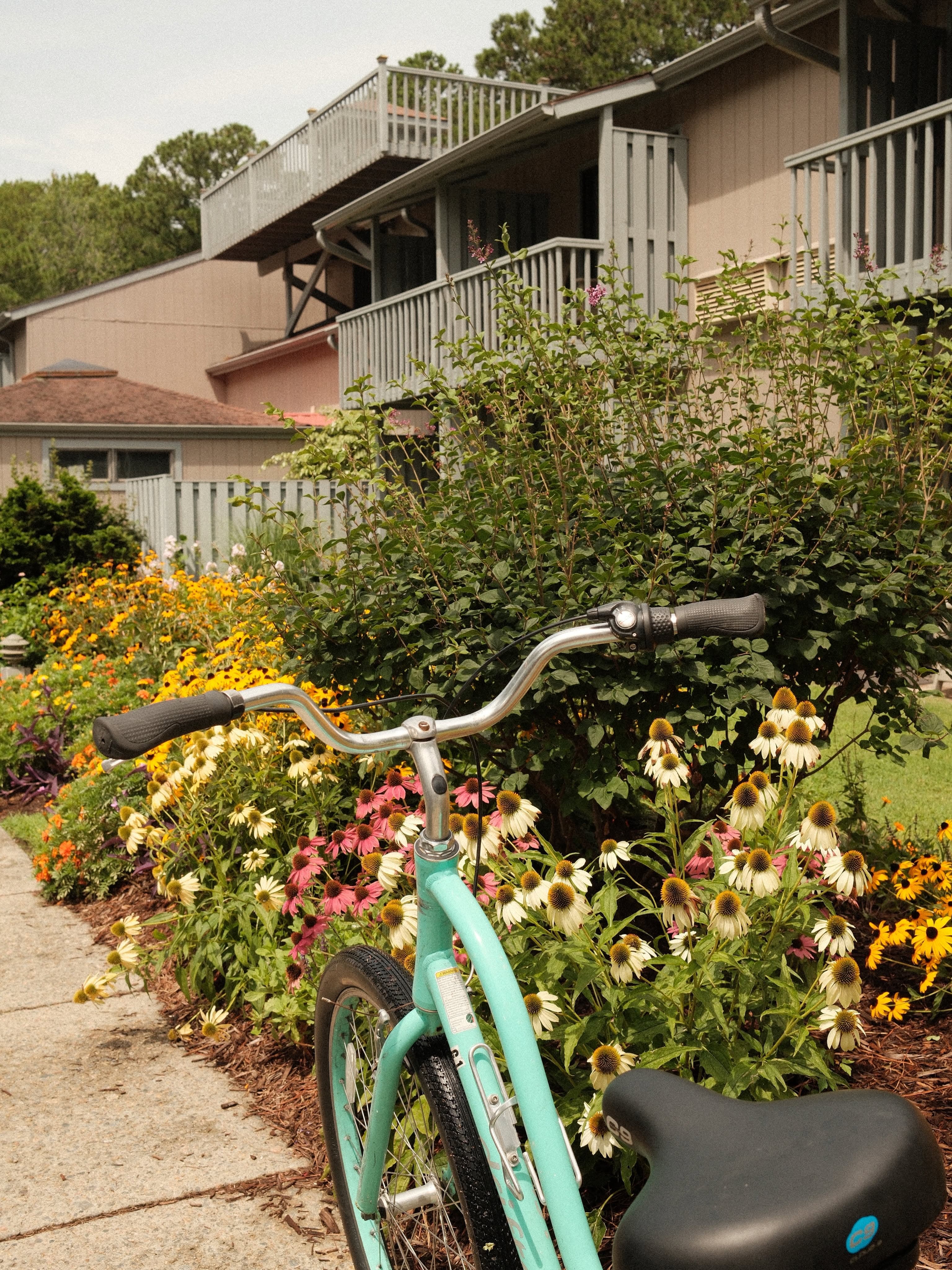 A turquoise bicycle is parked beside a colorful flower garden in front of a residential building.