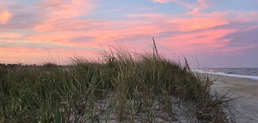 A beach scene at dusk with tall grasses and a colorful sunset sky.