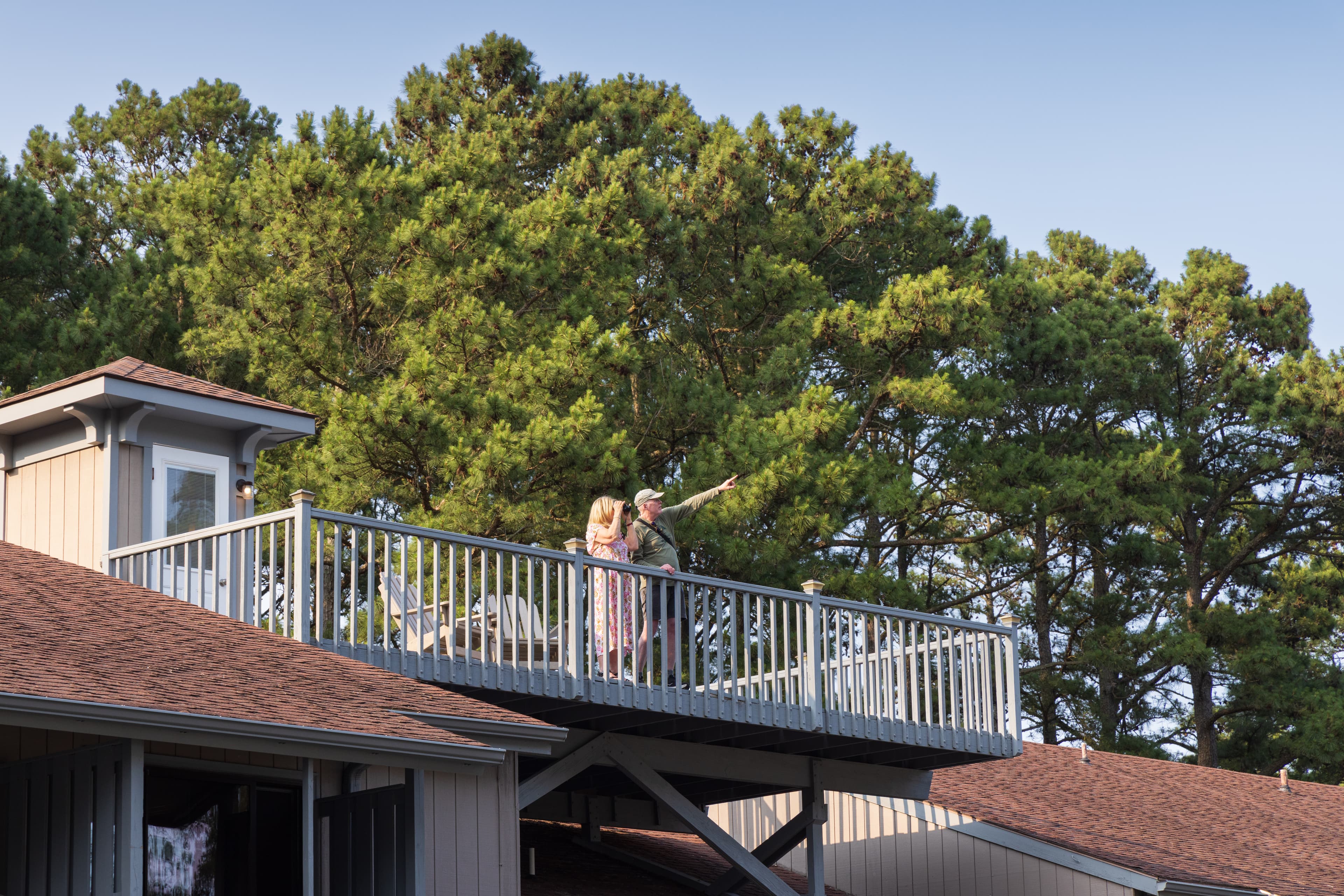 Two birders stand on the rooftop Observation Deck. The man has a camera strapped to his chest and must have spotted something because he is pointing towards the loblolly trees in the background. The woman is looking through binoculars in the same direction.