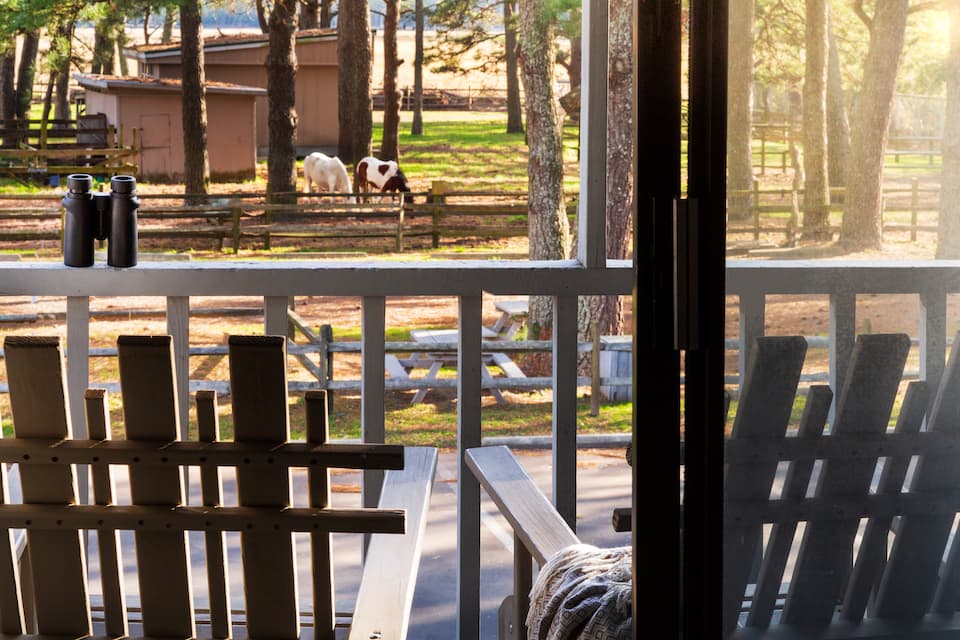 A view from a porch with wooden chairs and binoculars overlooking a meadow with horses.