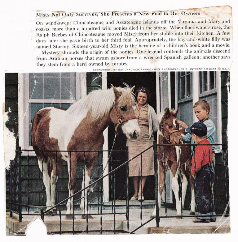 A woman and two children stand with two ponies on a porch, one of which is a new foal.