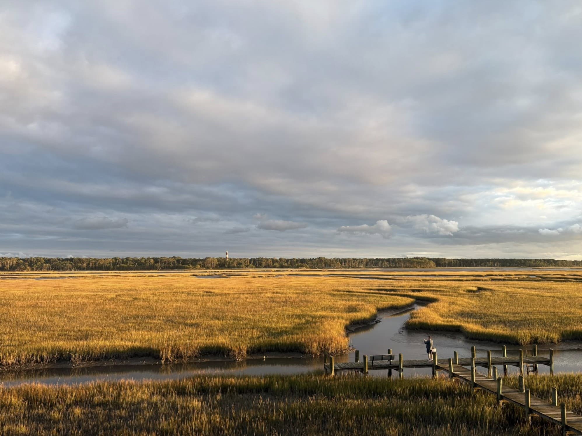 A tranquil marshland scene under a cloudy sky, featuring golden grass and a winding stream with a dock in the foreground. A tranquil marshland scene under a cloudy sky, featuring golden grass and a winding stream with a dock in the foreground.