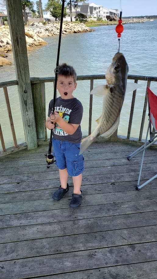 A boy on the pier at Veterans Memorial Park, Chincoteague, wide-eyed at the fish swinging from his line.