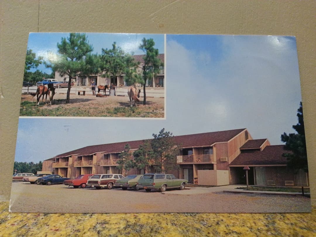 A postcard of the Refuge Motor Inn in the 1970s, a two-story motel on Chincoteague Island with cars parked out front and Chincoteague Ponies grazing beside it.