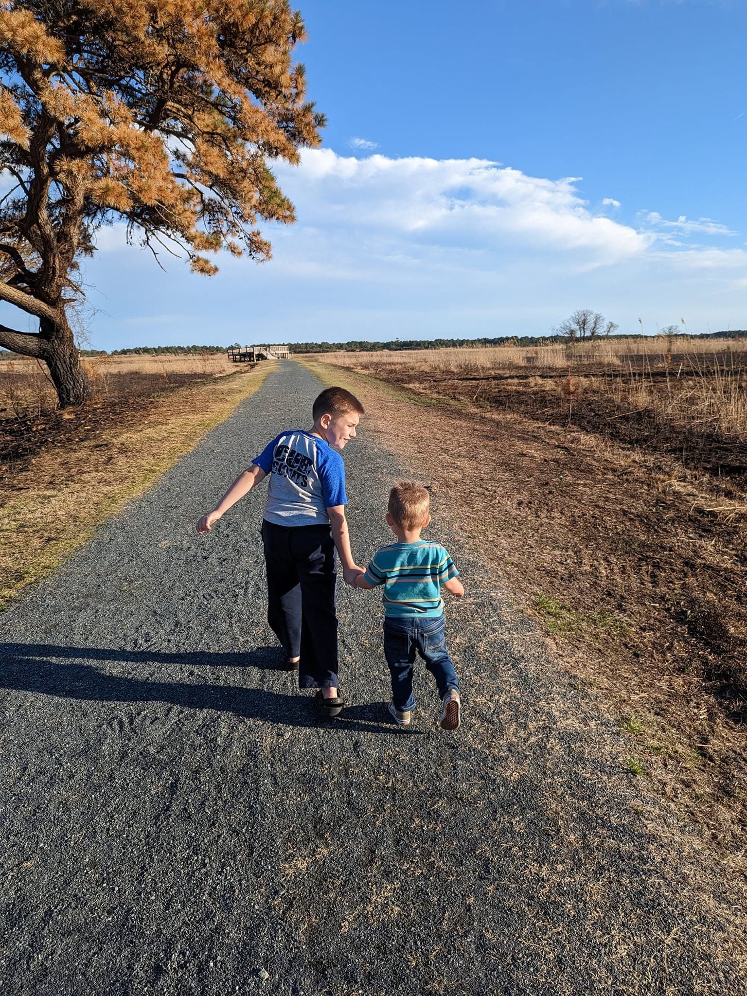 Two young boys walk hand-in-hand on a gravel path through a grassy field under a blue sky.