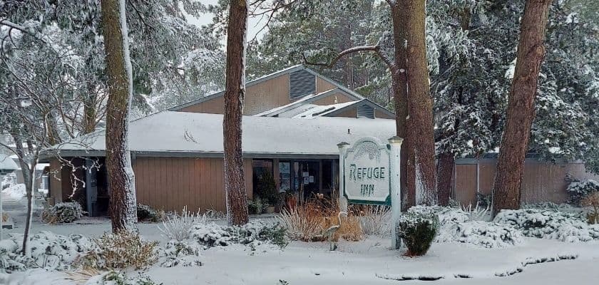 A snowy landscape featuring a building with a sign that reads "Refuge."