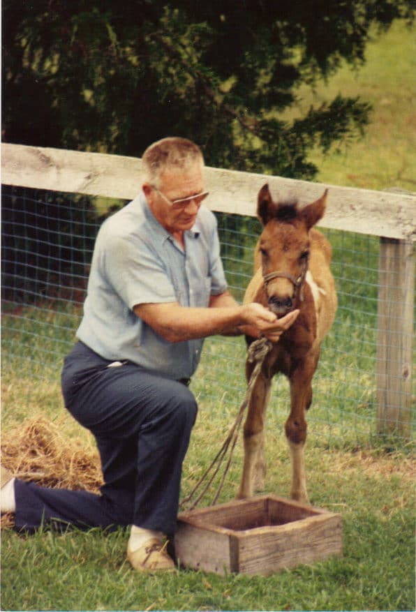An elderly man kneels beside a young foal, gently holding its lead rope in a grassy area.
