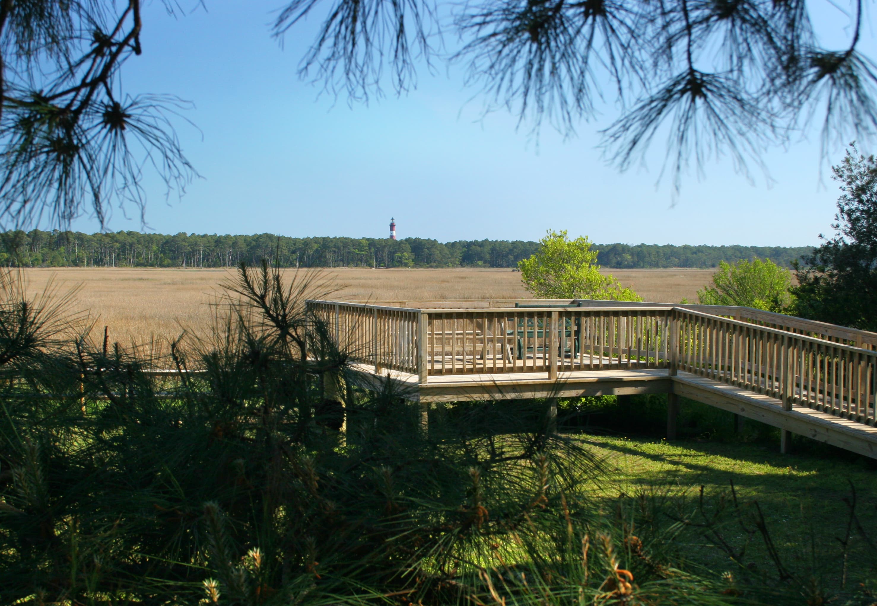 The marsh observation deck at the Refuge Inn, looking across the marsh to the Assateague Lighthouse.