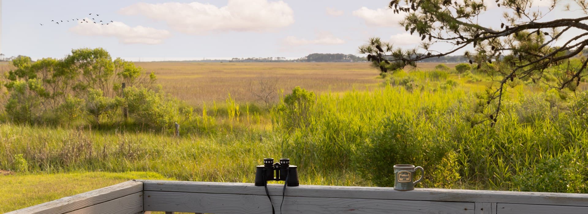 A pair of binoculars and a mug sit on a wooden railing, overlooking a vast marsh landscape under a cloudy sky.