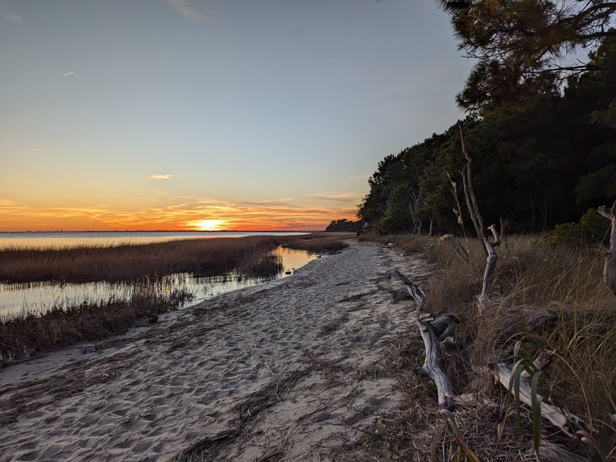 A sandy shorelines at sunset, bordered by tall grass and trees.