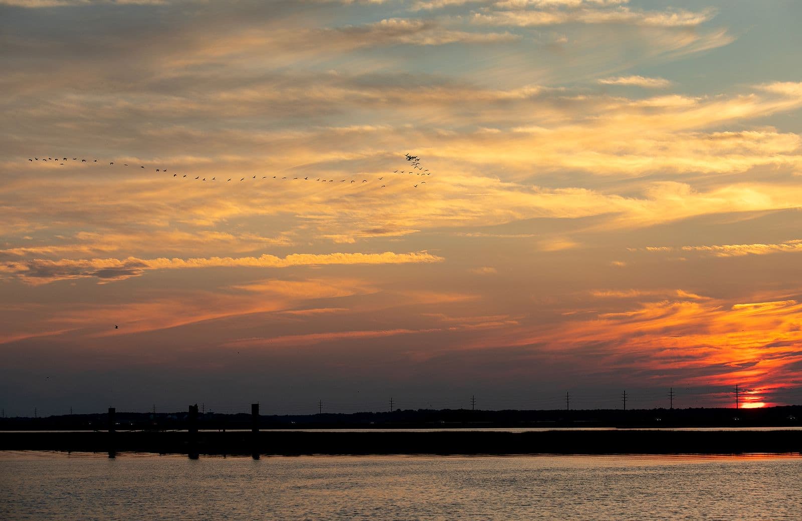 Silhouetted birds fly across a vibrant sunset sky reflected on a calm body of water.