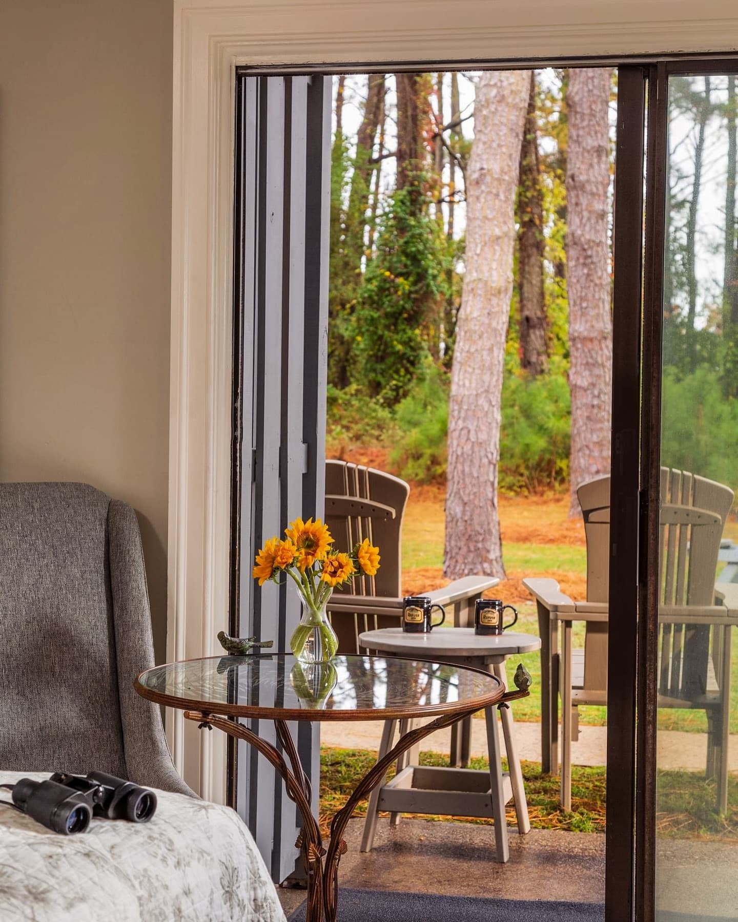 A cozy room with a view of a patio surrounded by trees, featuring a table with flowers and binoculars.
