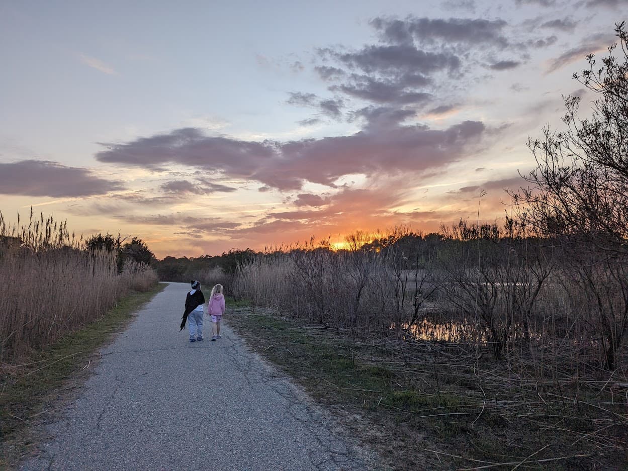 A child walks with a dog along a path at sunset, surrounded by tall grass and trees.
