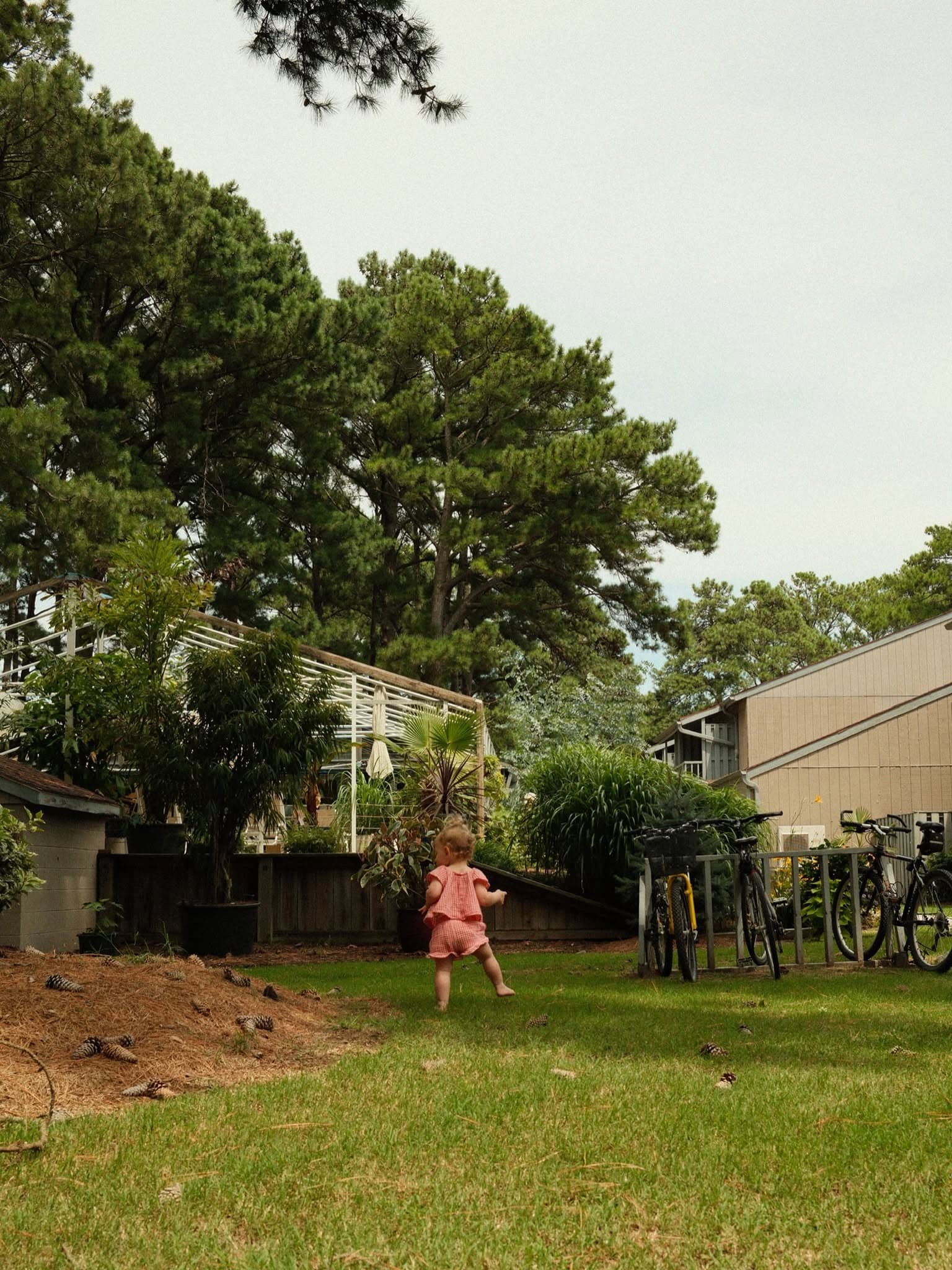 A child in a pink outfit walks across a grassy backyard surrounded by trees and bicycles.