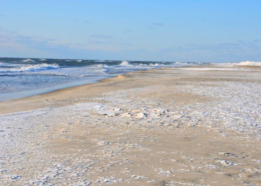 snowy beach on chincoteague island snowy beach on chincoteague island