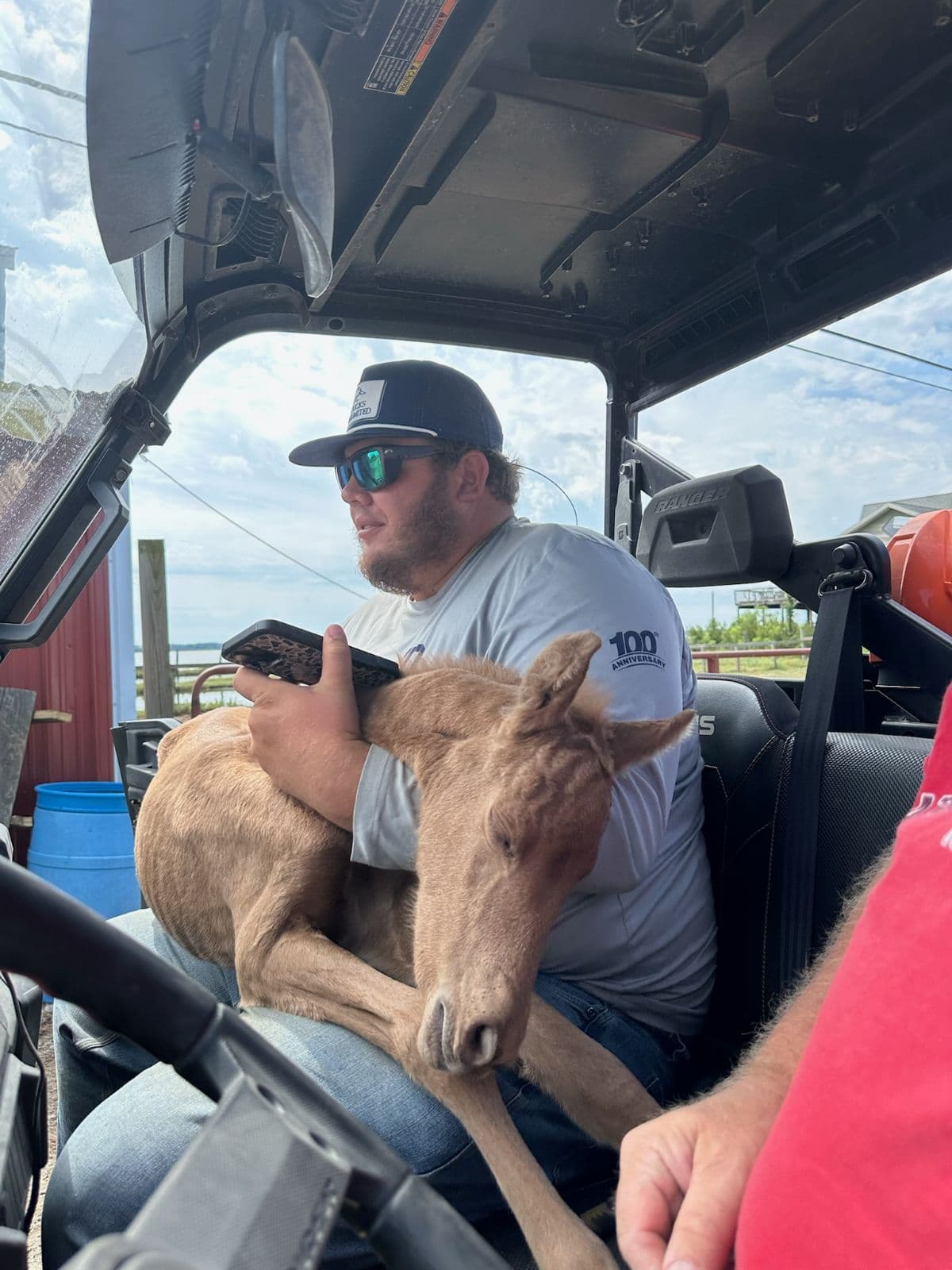 saltwater cowboy hunter leonard holds foal 102 in the polaris on the chincoteague pony farm, where she was about to meet her foster mom EJ
