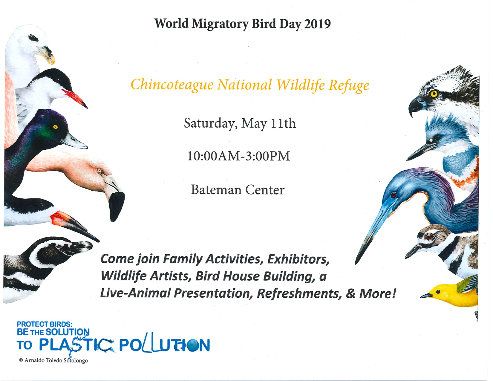 Migratory Bird Celebration Flyer 2019
